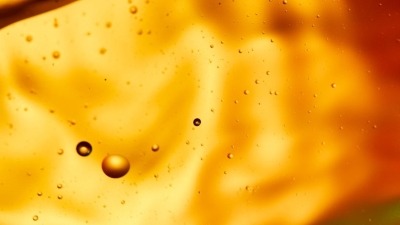 Oli e grassi vegetali e animali